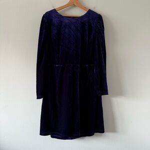Sugarlips Purple Velvet Knee Length Shift Dress Long Sleeve Whimsy Dark Romantic